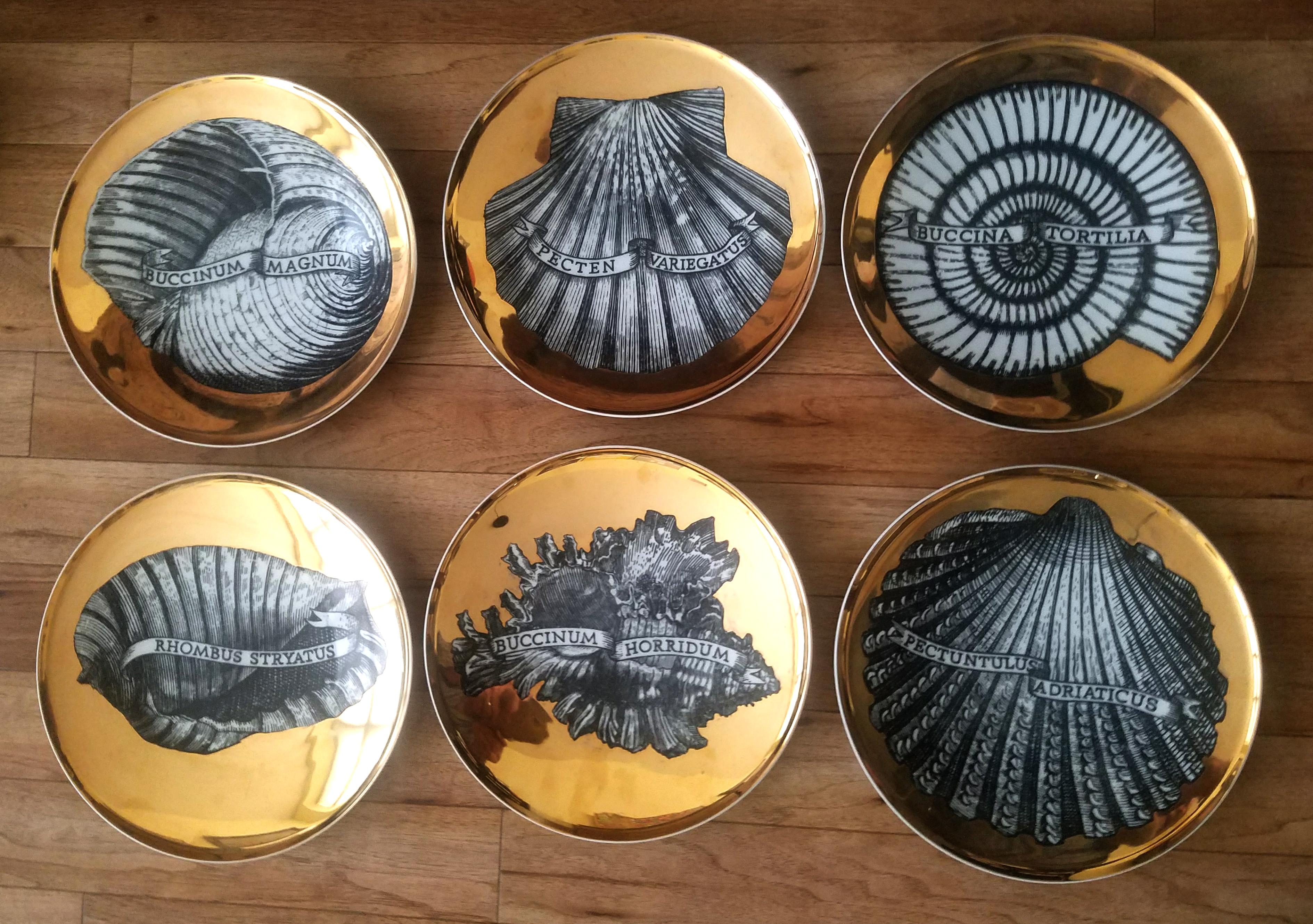Piero Fornasetti porcelain gilt seashell porcelain plates,
Conchyliorum pattern,
Set of six plates,
circa 1950s.

The set of plates with a gilt ground and each beautifully decorated with a different large named seashell in black and white.

The