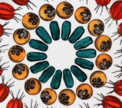 Piero Fornasetti Porcelain Plate, Giastra Di Frutta # 6