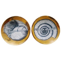 Piero Fornasetti Porcelain Seashell Plates, Conchyliorum Pattern- a pair