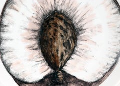 Piero Fornasetti Porcelain Sezioni Di Frutta Dessert Plate, No 4 for Tiffany