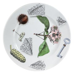 Assiette en poterie Piero Fornasetti à motif Galvani