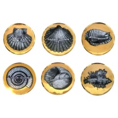 Piero Fornasetti Six Porcelain Gilt Seashell Plates, Conchyliorum Pattern, 1950s