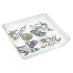 Piero Fornasetti Vintage Porcelain Bowl "Botanica Pratica" Italy 1950's