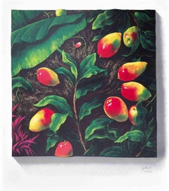 Manghi -  Litografía de Piero Gilardi - 1990