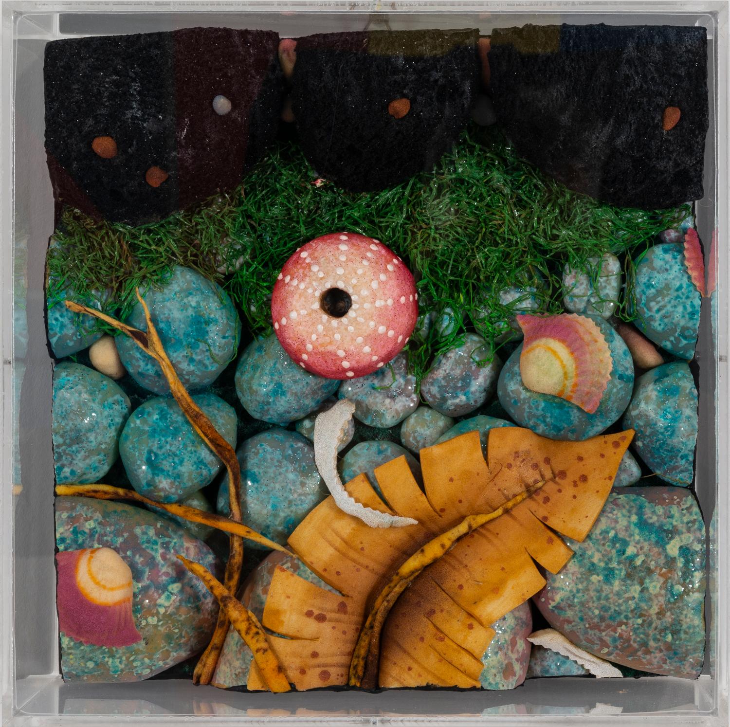 Spiaggetta Con Muschi, 2016, scultura, Tappeto Natura, Poliuretano, Scatola For Sale 1