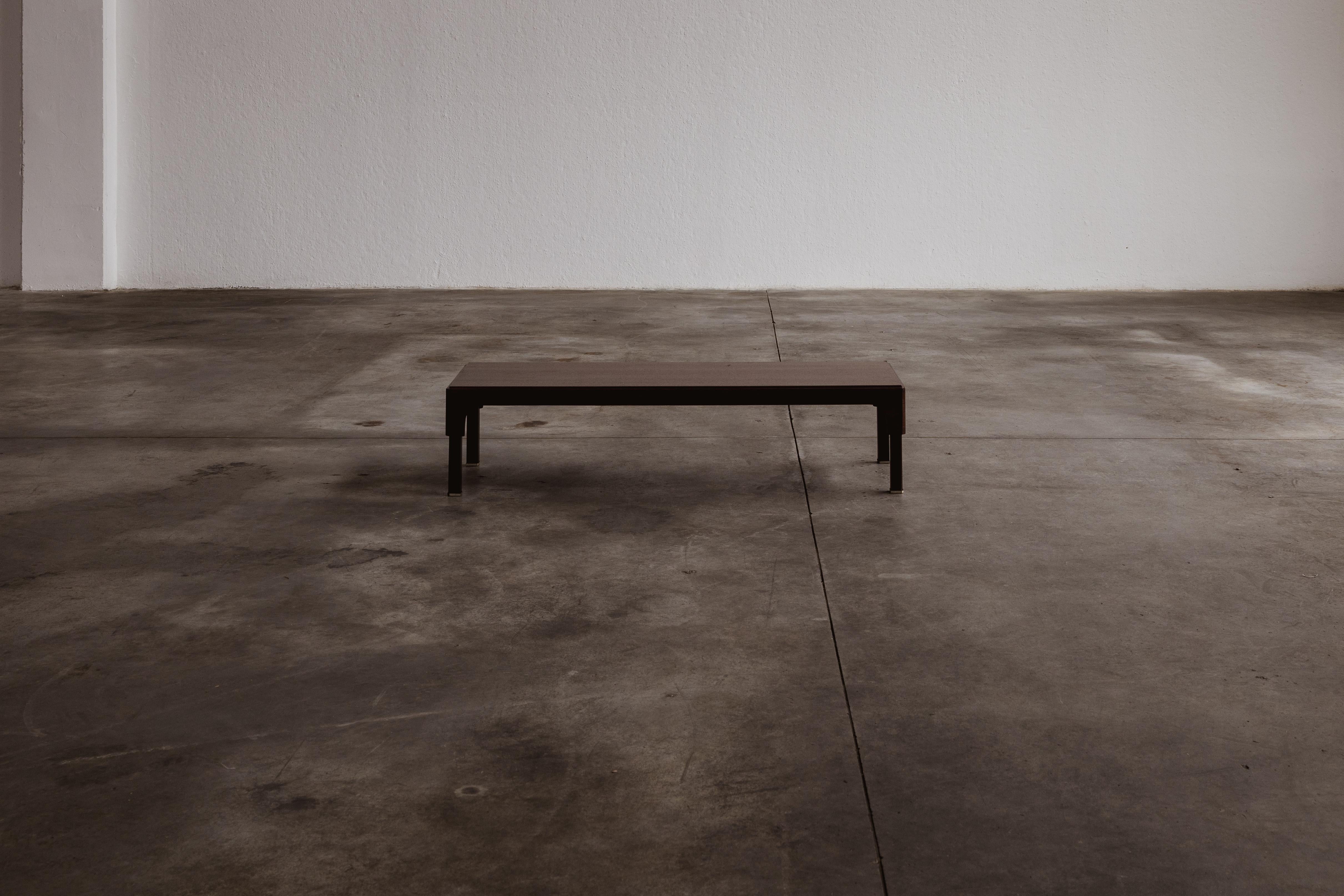 Acier Piero Ranzani Personalità Table basse pour Elam, 1960s en vente