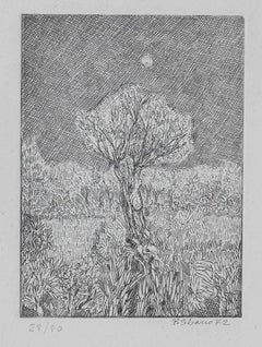 Trees in the Forest - Original Etching by Piero Sbano - 1972