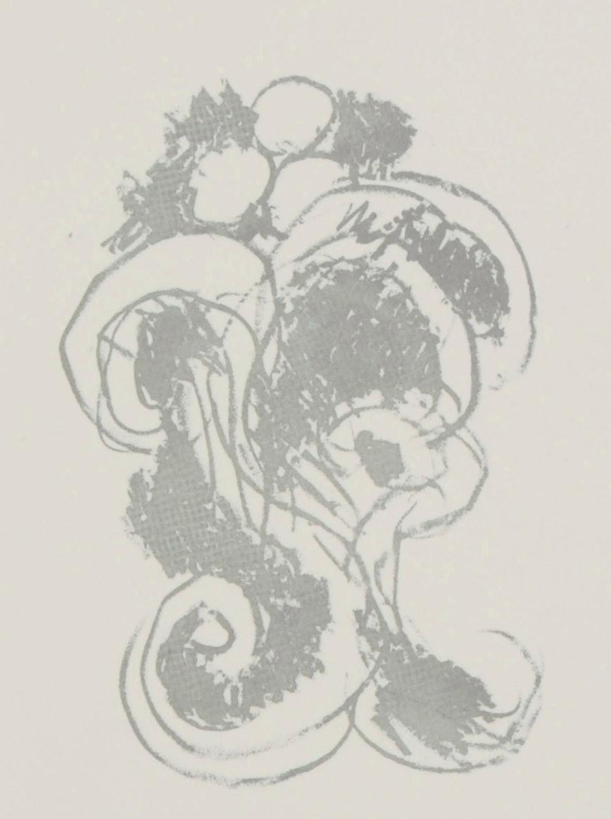 Lino Litho BR, Pflanzgefäß IX im Angebot 2