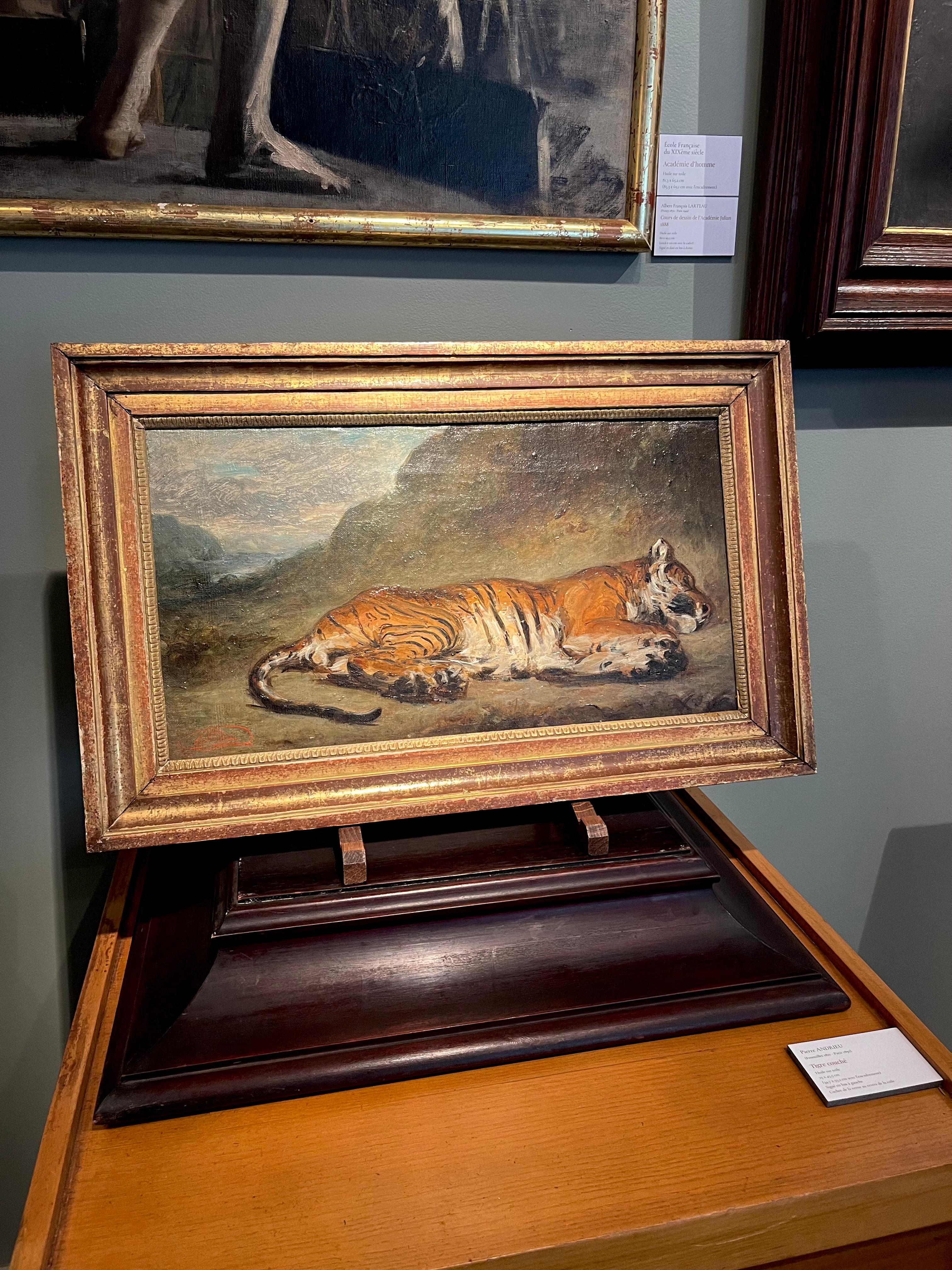 Lügender Tiger – Painting von Pierre Andrieu