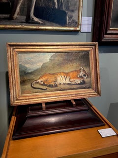 Lying tiger