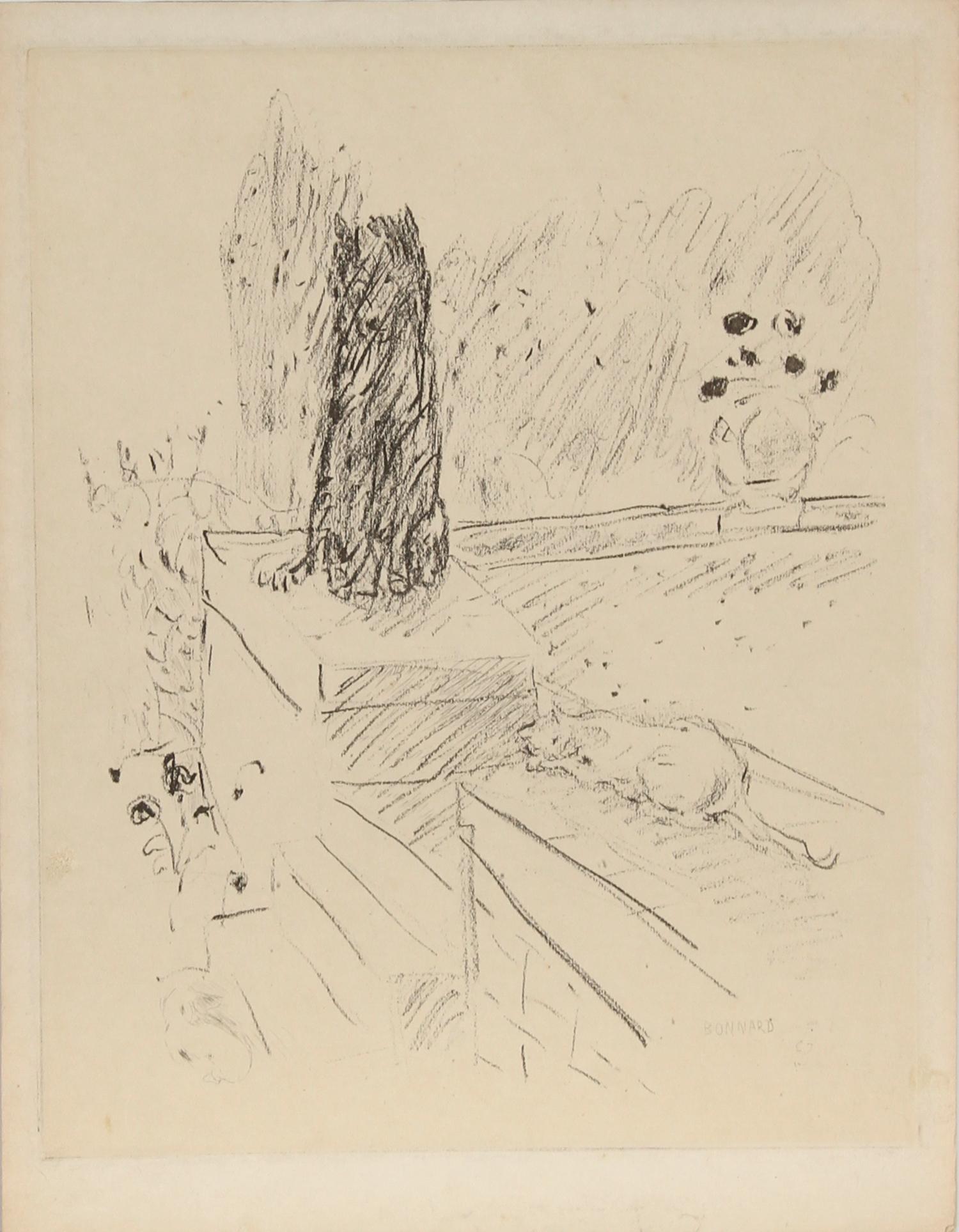 Chien et Chat (Bouvet 90)
Pierre Bonnard, French (1867–1947)
Date: circa 1920
Etching, signed in the plate
Size: 12.5 in. x 9.75 in. (31.75 cm x 24.77 cm)