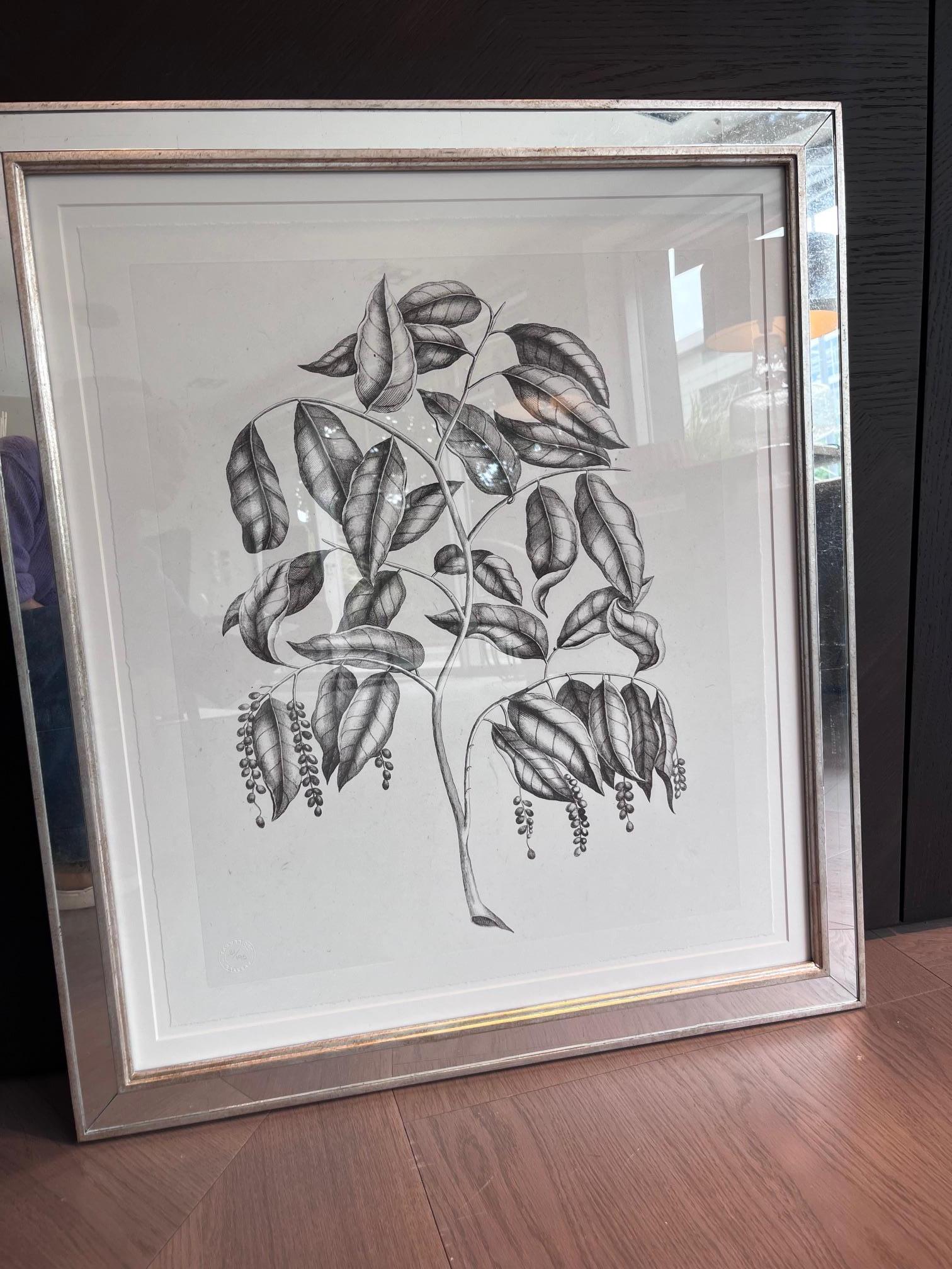20ième siècle Pierre Bullard - Feuilles en noir et blanc (c. 20e siècle) en vente