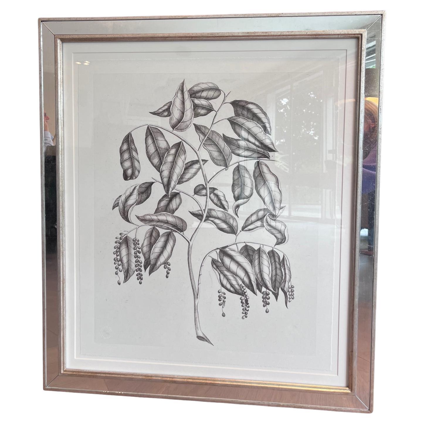 Pierre Bullard - Feuilles en noir et blanc (c. 20e siècle)