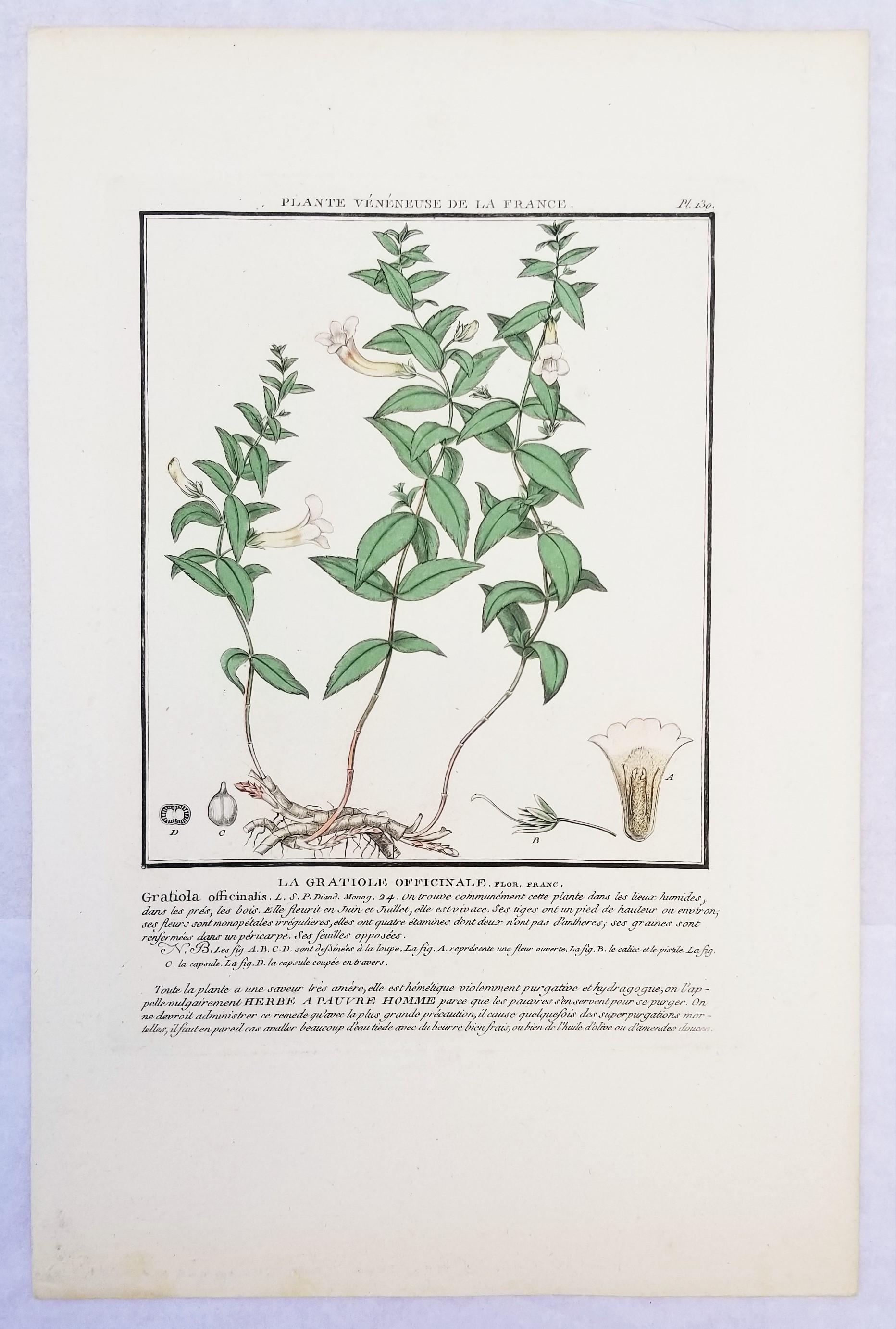 Set von vier farbigen Gravuren aus „Herbier de la France“ von Pierre Bulliard im Angebot 2
