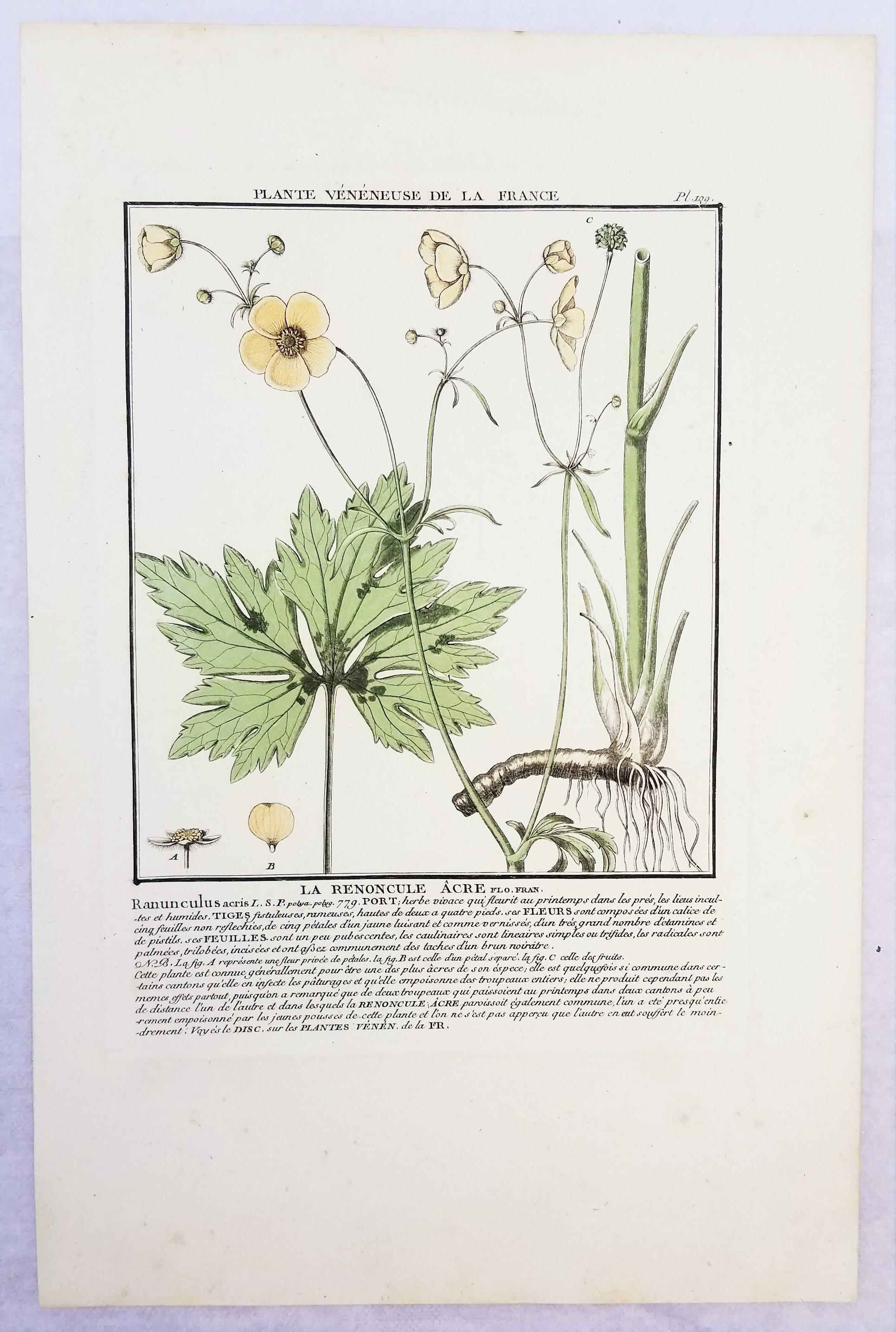 Set von vier farbigen Gravuren aus „Herbier de la France“ von Pierre Bulliard im Angebot 6