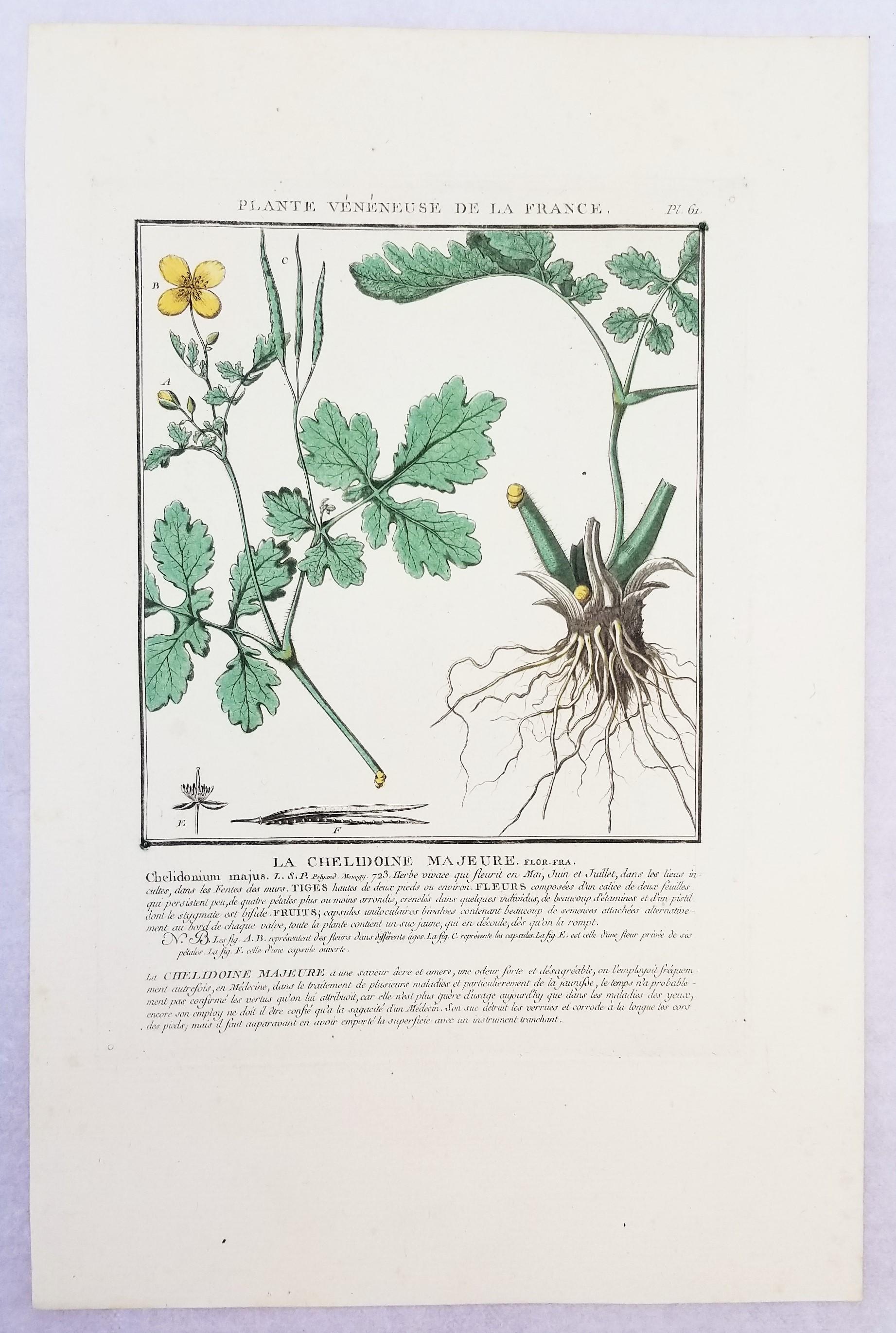 Set von vier farbigen Gravuren aus „Herbier de la France“ von Pierre Bulliard im Angebot 8