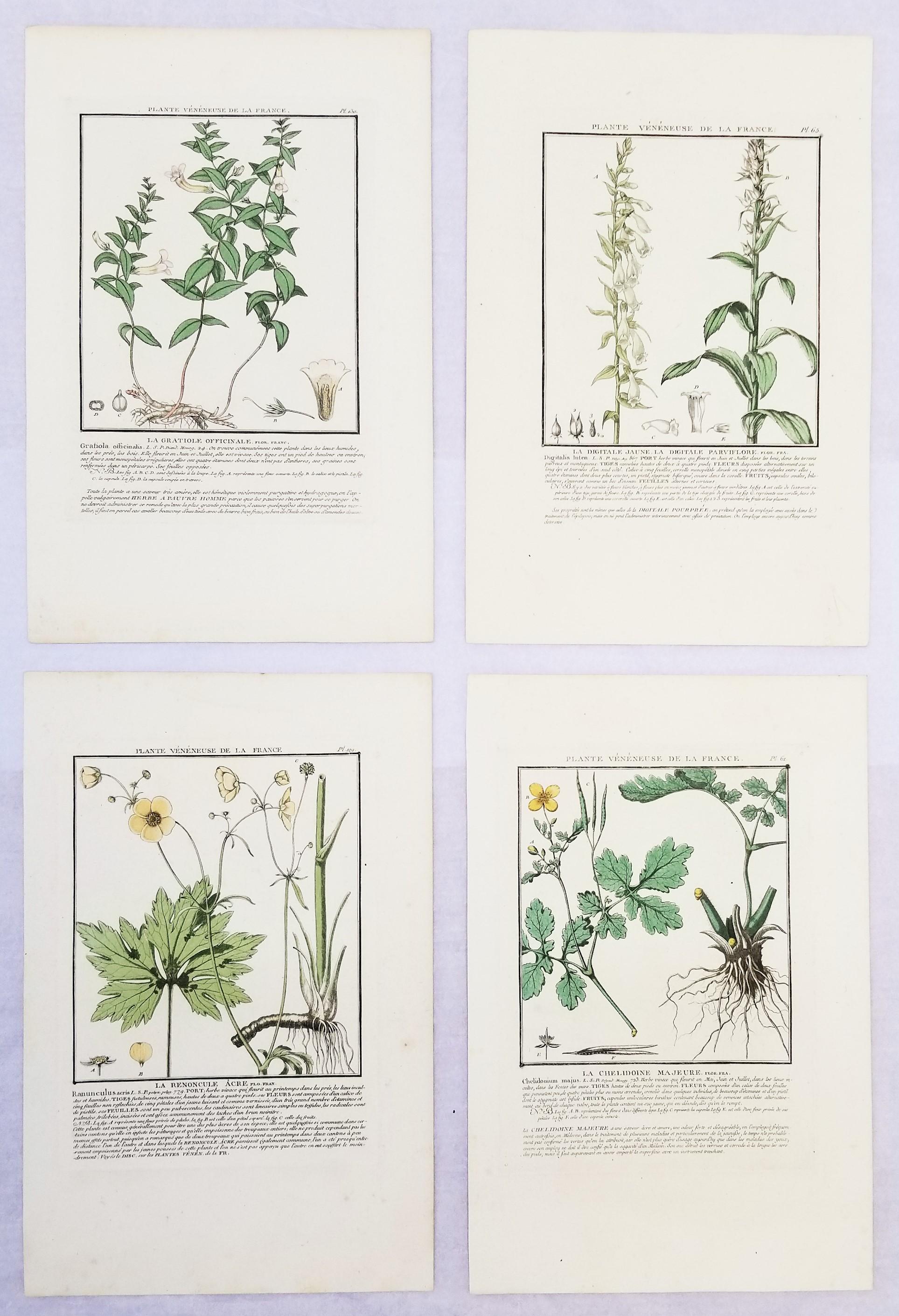 Ensemble de quatre gravures en couleur de "Herbier de la France" par Pierre Bulliard