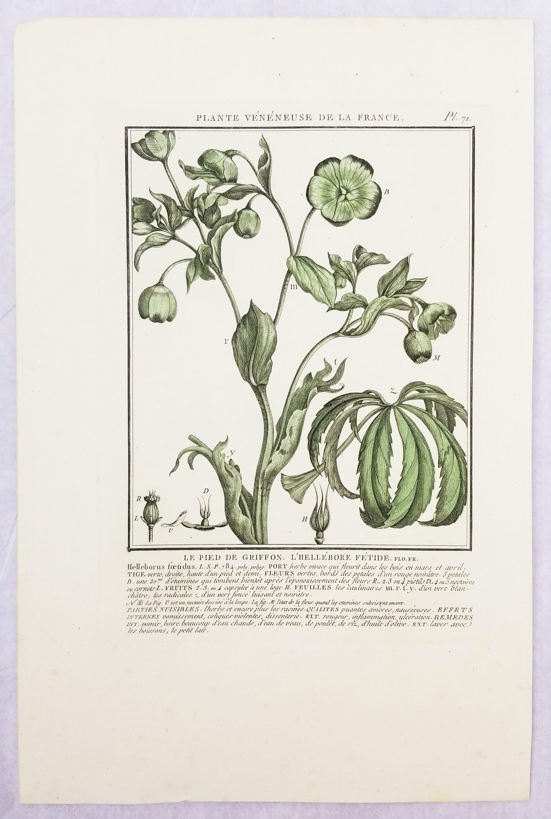 Set von drei farbigen Gravuren aus „Herbier de la France“ von Pierre Bulliard im Angebot 2