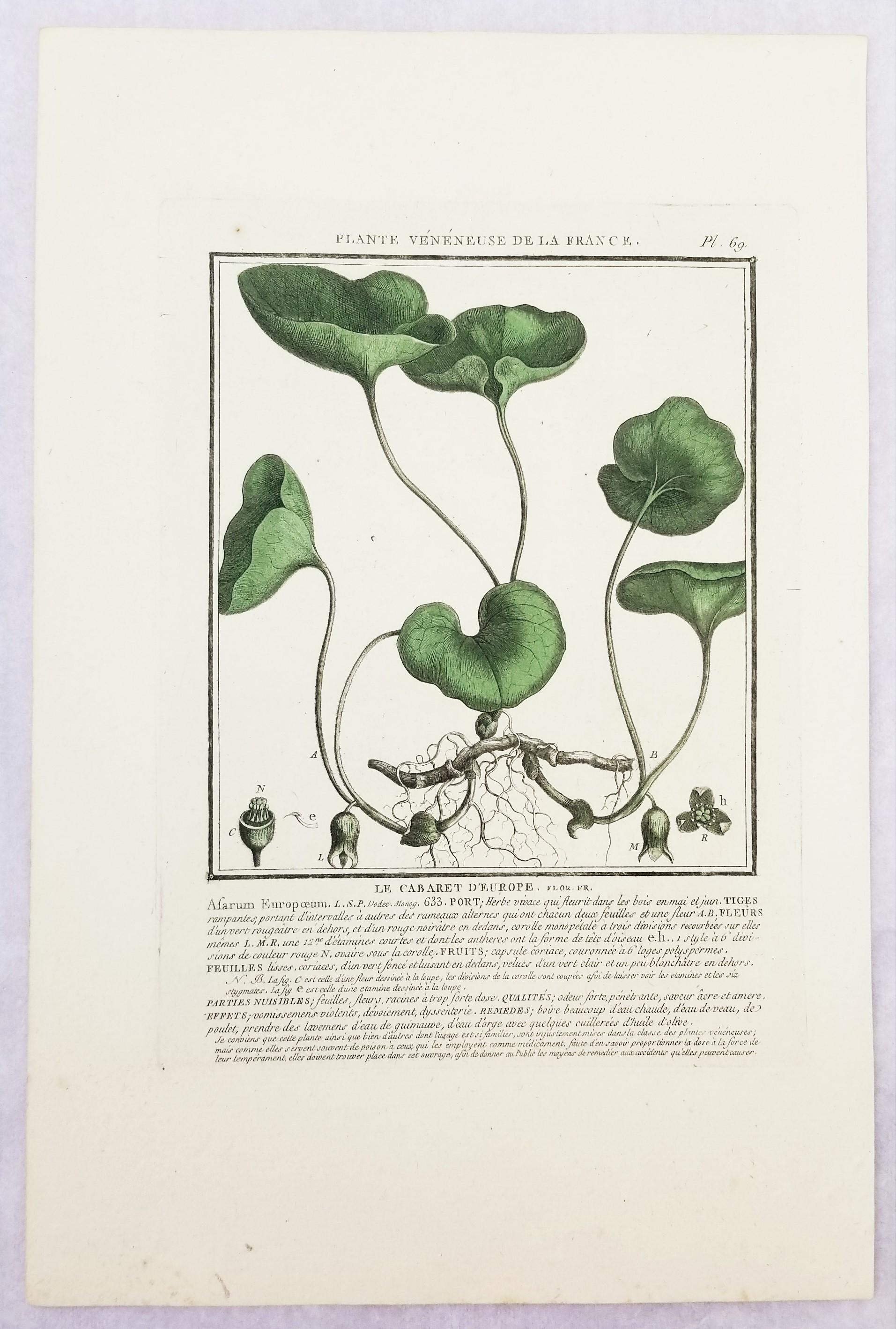 Set von drei farbigen Gravuren aus „Herbier de la France“ von Pierre Bulliard im Angebot 6