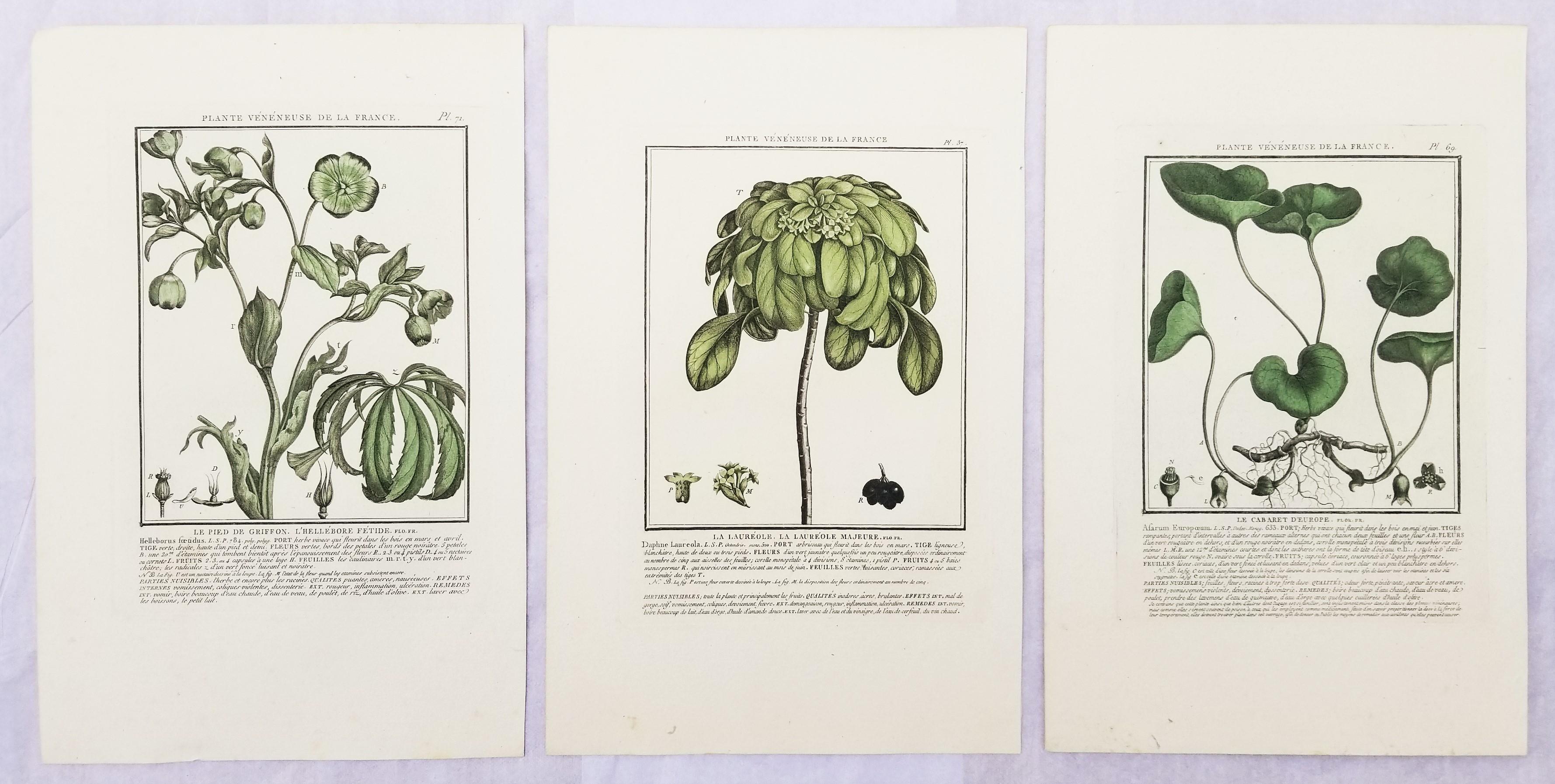 Ensemble de trois gravures en couleur de "Herbier de la France" par Pierre Bulliard