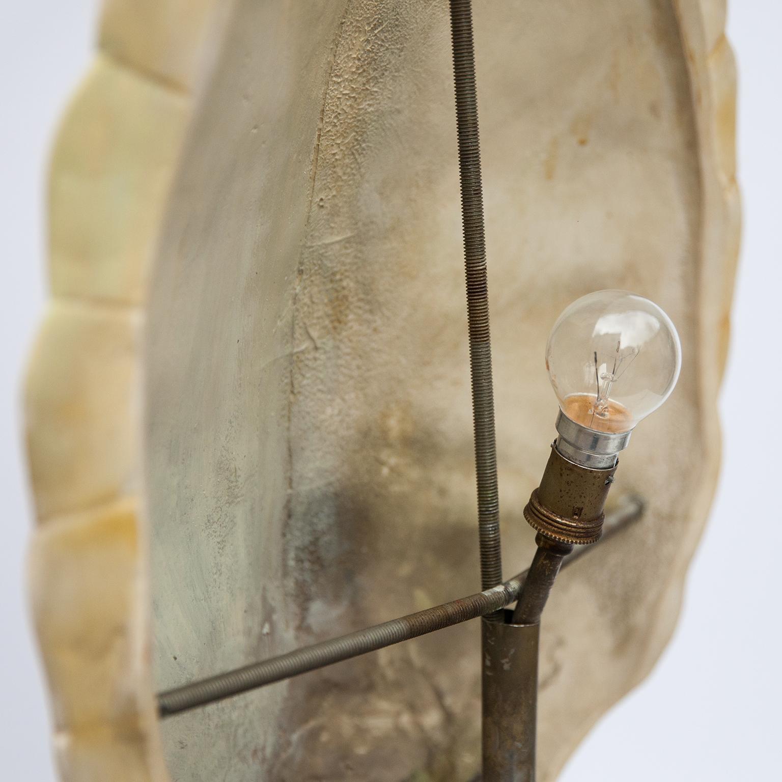 Pierre Cardin Ceramic Tortoise Shell Lamp, France, 1960s 1