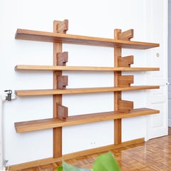 Pierre Chapo Elmwood bibliothèque murale