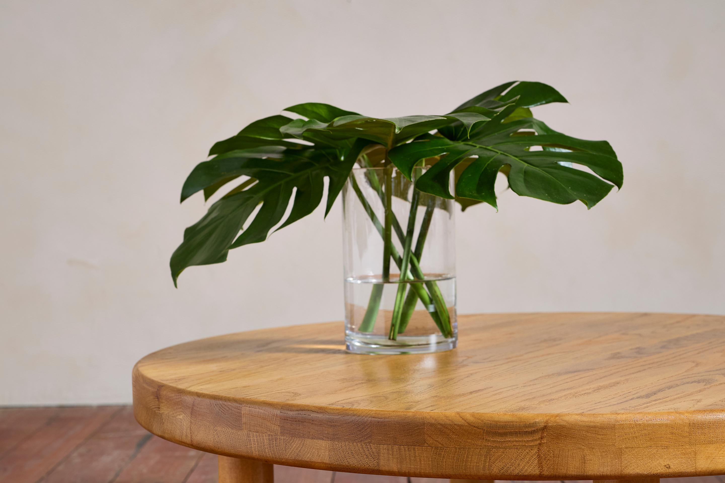 Pierre Chapo Style Oak Couchtisch (Mitte des 20. Jahrhunderts) im Angebot