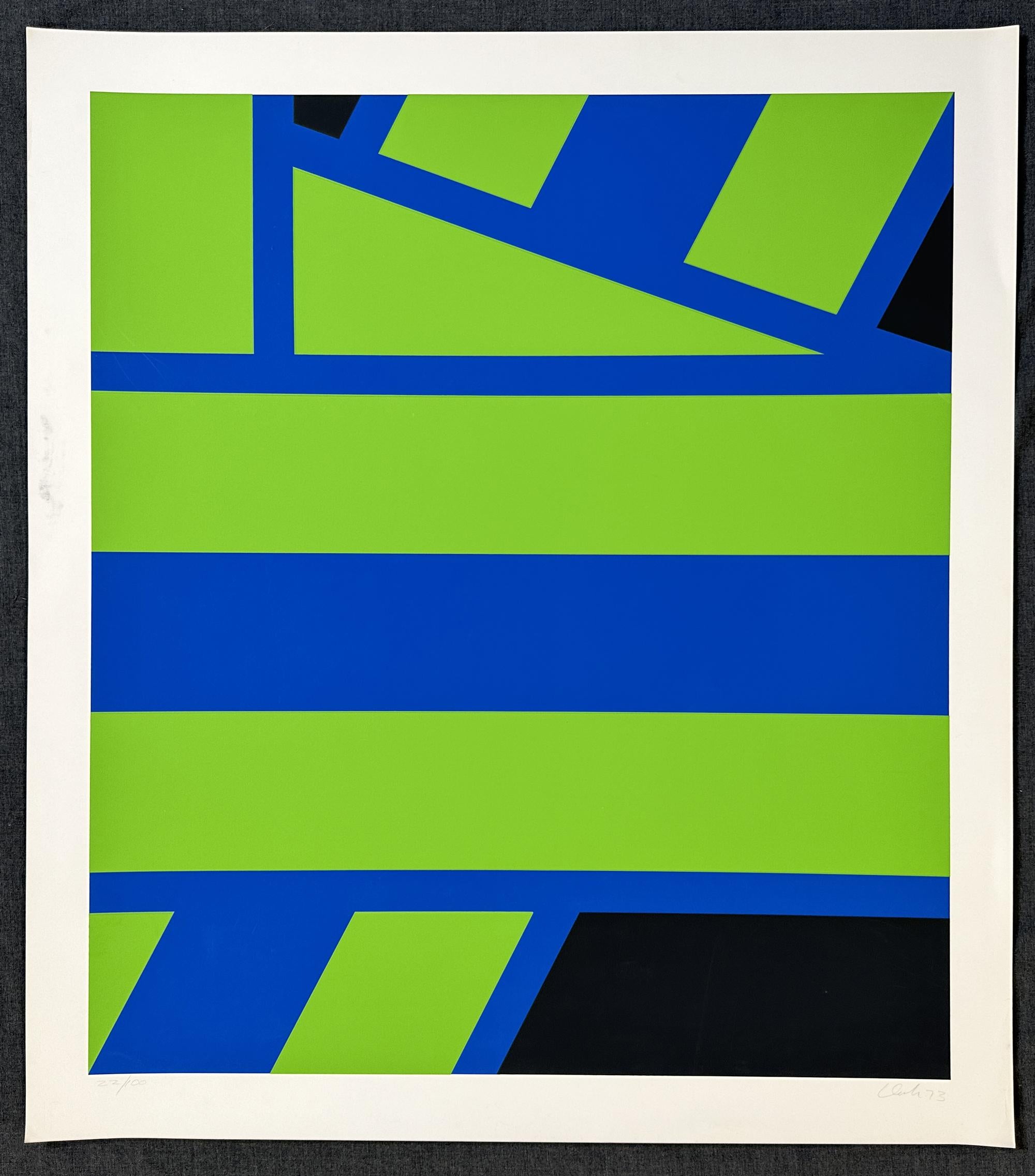 Pierre Clerk Plate II Green 1973 Signed Limited Edition Large Silkscreen  For Sale 1