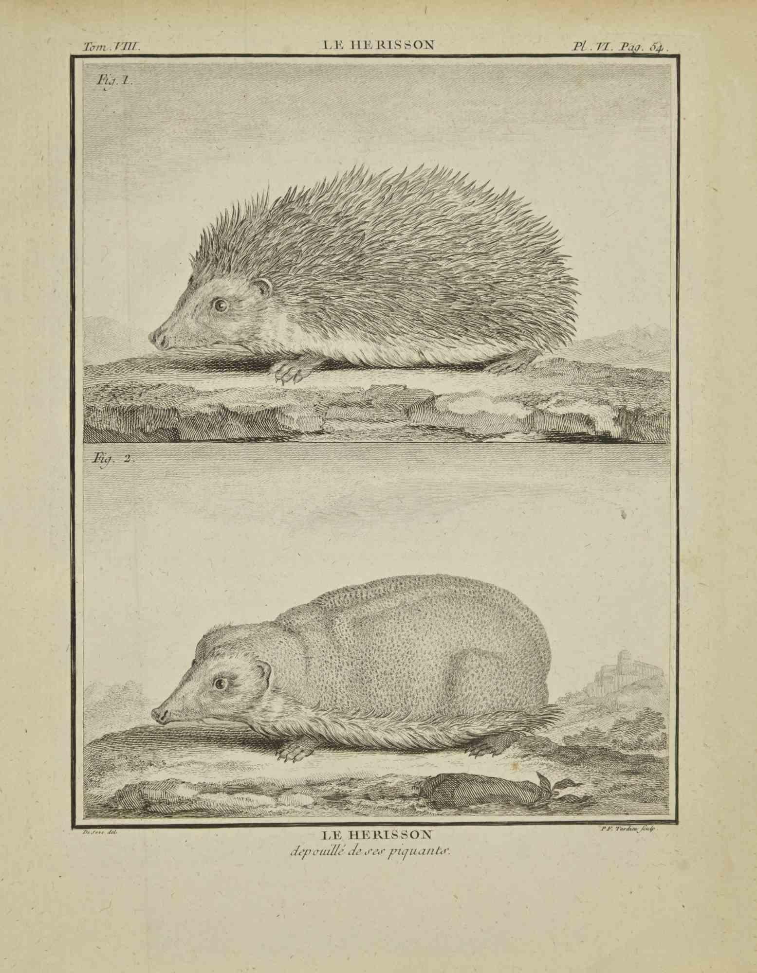 Le Herisson – Radierung von Pierre Francois Tardieu – 1771