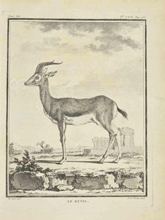 Le Kevel - Etching by Pierre Francois Tardieu - 1771