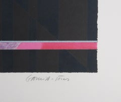 Fruits d'orange - Lithographie originale, signée