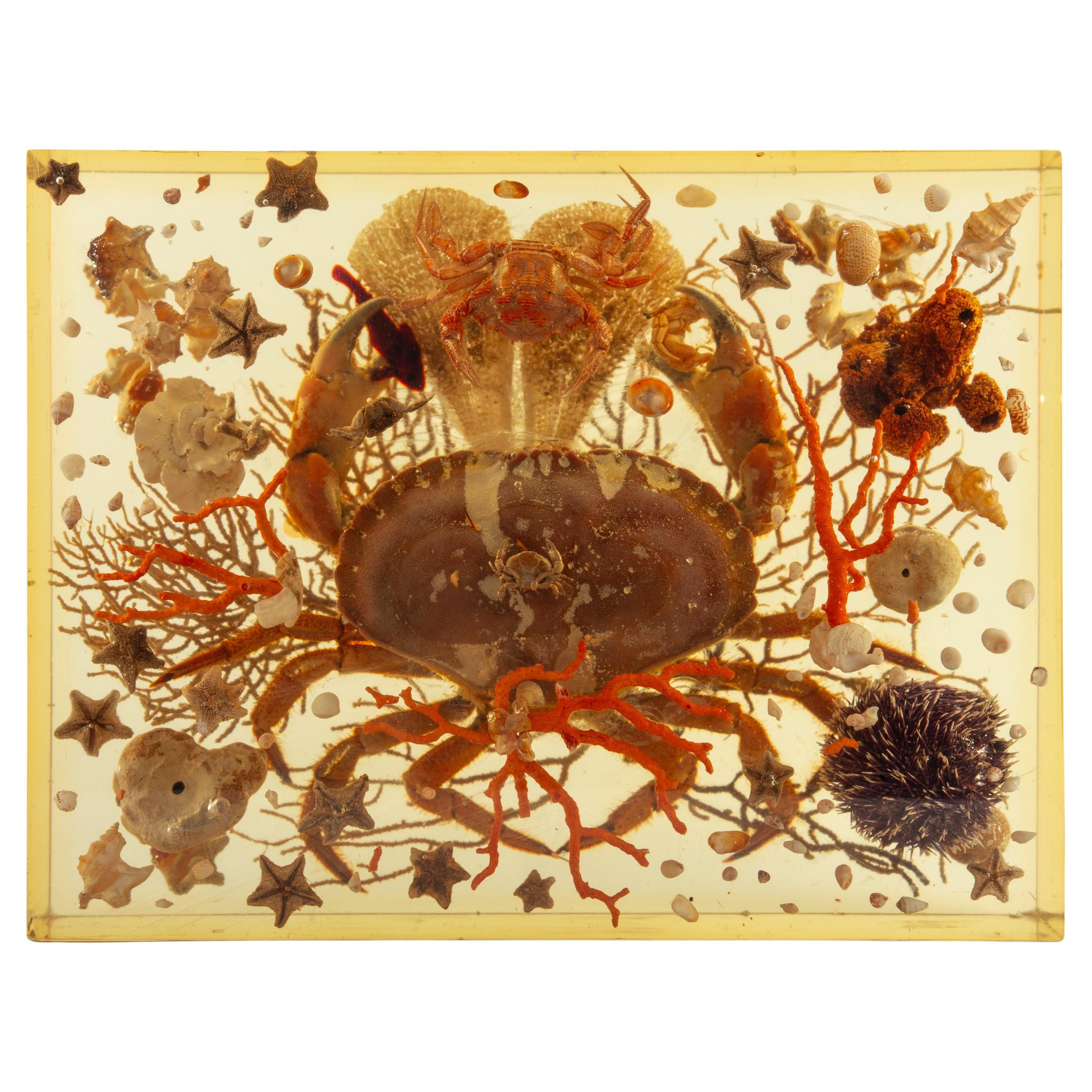 Pierre Giradon Seascape in Lucite For Sale