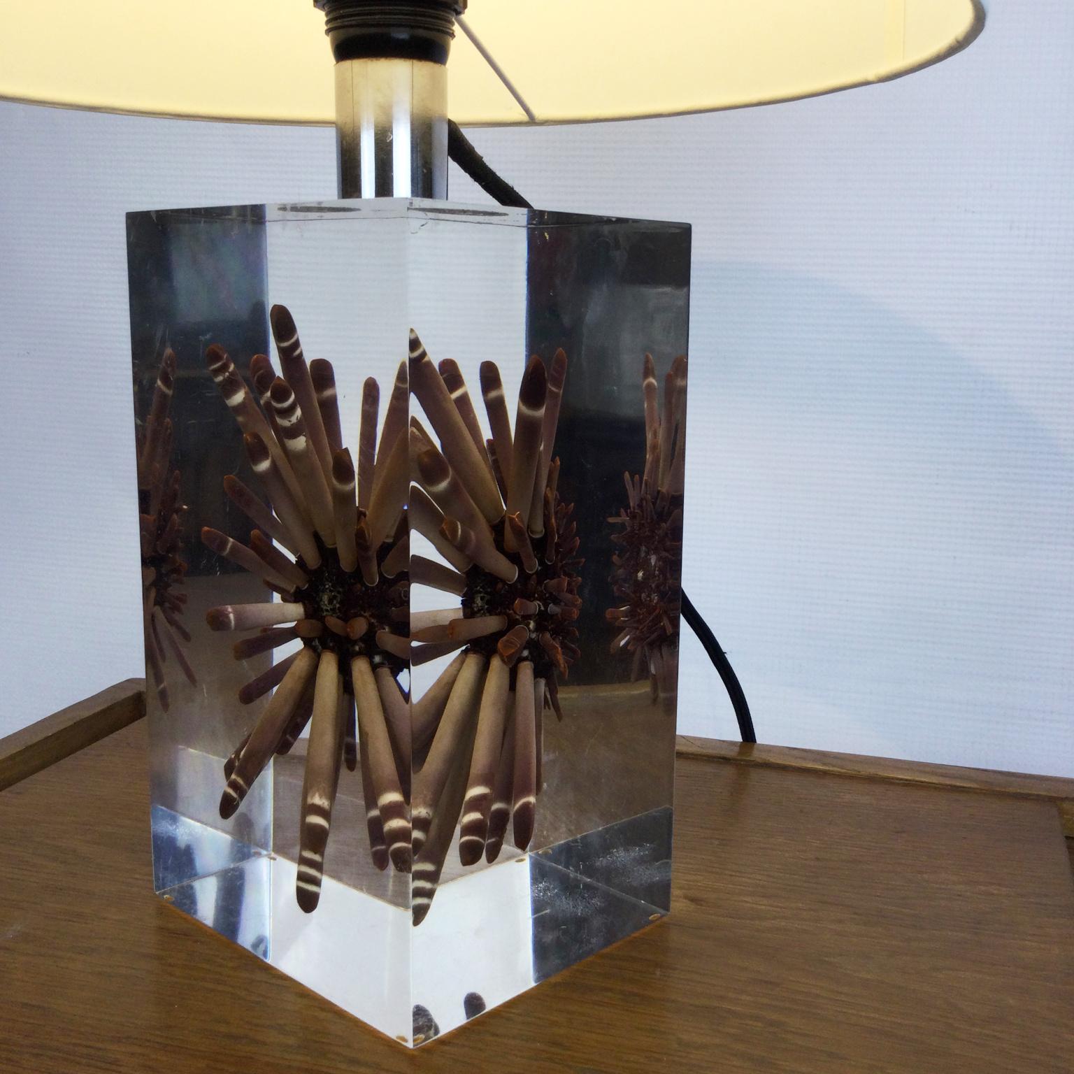 Mid-Century Modern Pierre Giraudon 1970s Large Resin Table Lamp with Tropical Ursin Inclusion For Sale