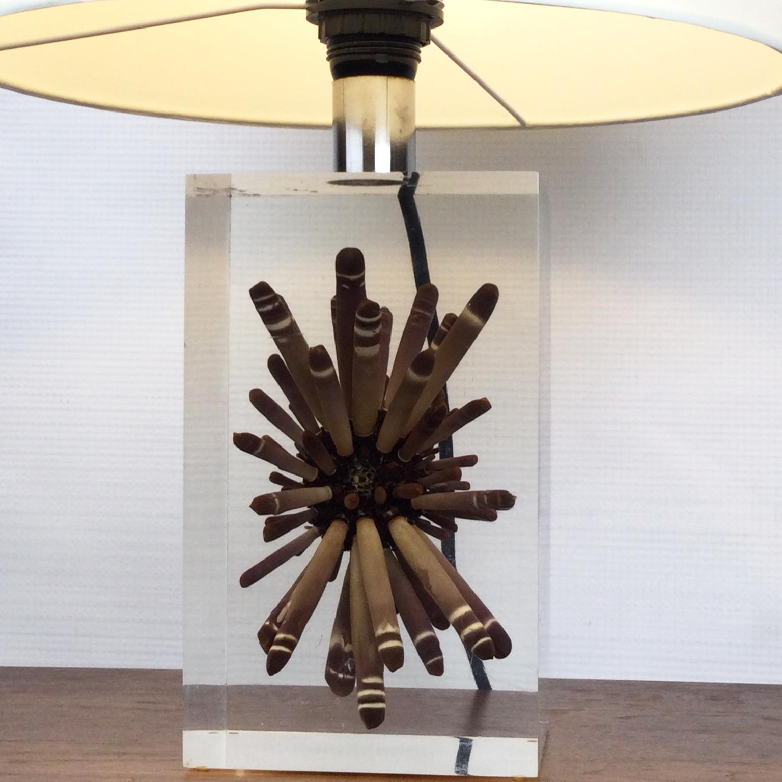 Résine Pierre Giraudon, grande lampe de bureau des années 1970 en résine avec inclusions d'urnes tropicales en vente