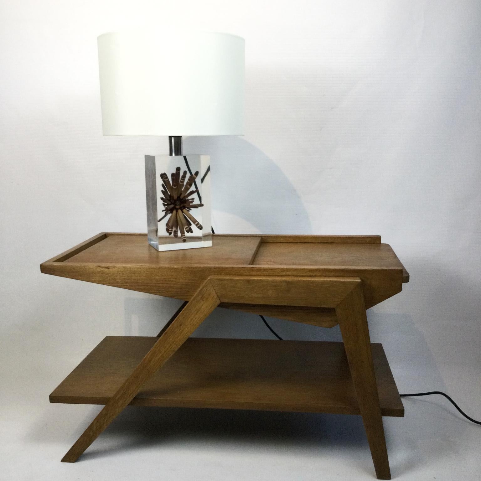 20th Century Pierre Giraudon 1970s Large Resin Table Lamp with Tropical Ursin Inclusion For Sale