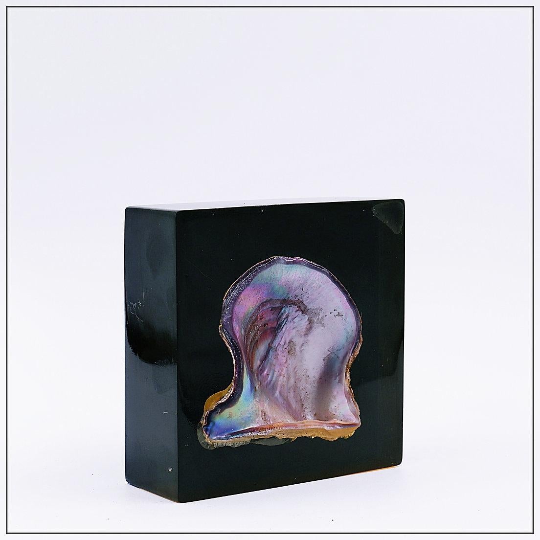 Organique Inclusion de perles coquille d'huître Pierre Giraudon, 20e siècle en vente