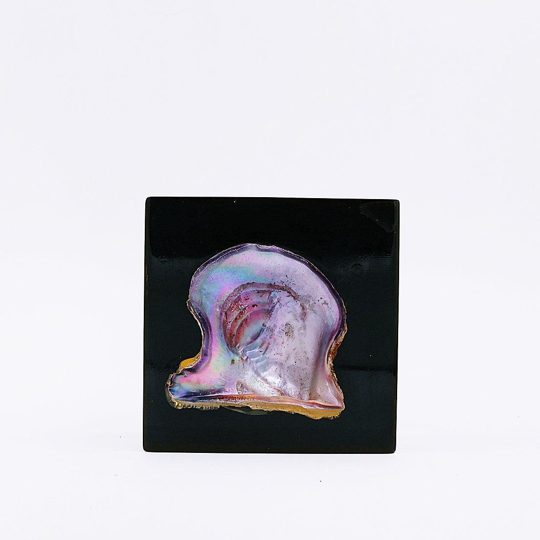 Inclusion de perles coquille d'huître Pierre Giraudon, 20e siècle en vente 1