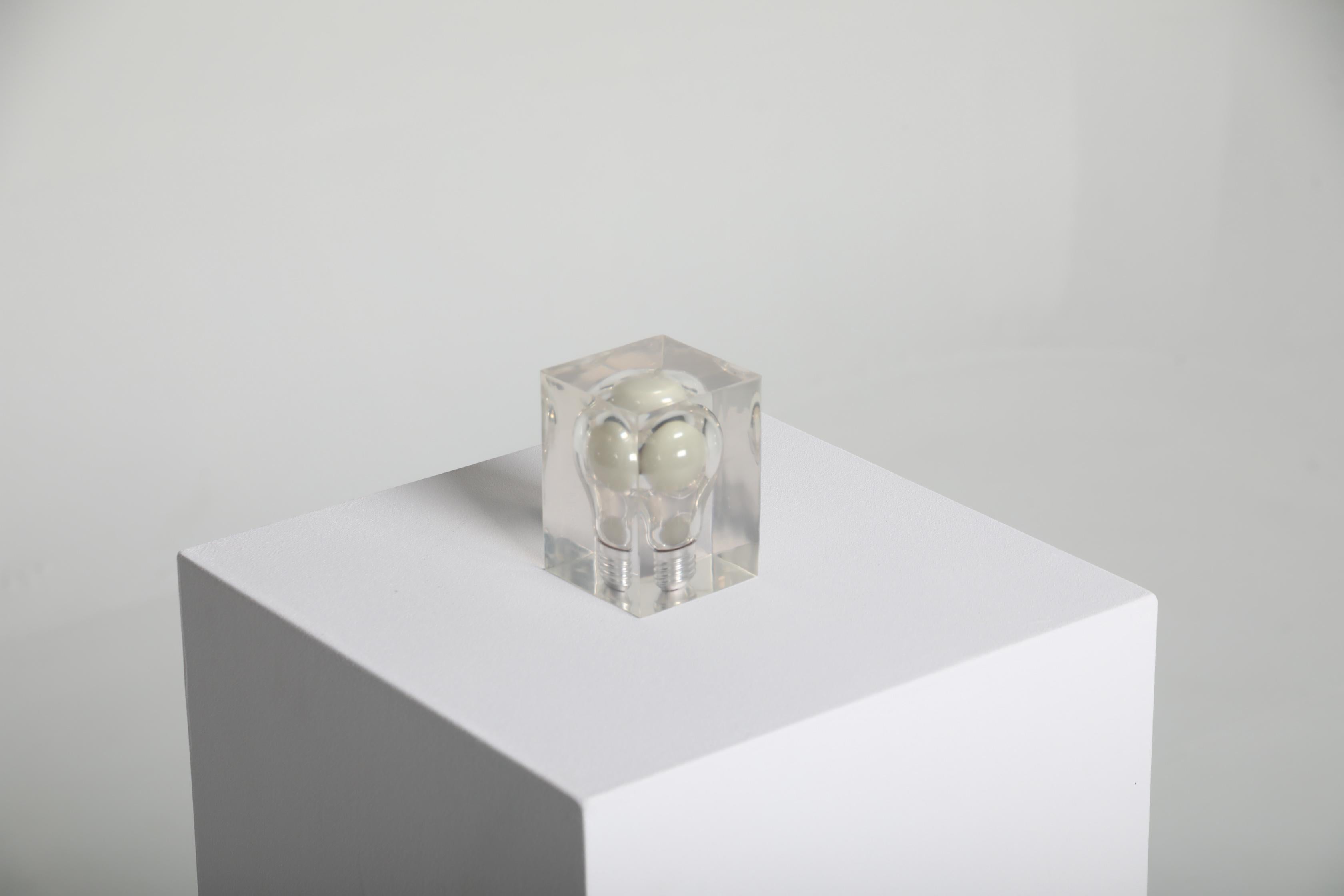 Questa scultura è stata progettata da Pierre Giraudon in Francia negli anni '70, un periodo in cui Giraudon stava esplorando attivamente le sue innovative tecniche di resina. Realizzato in resina acrilica, il pezzo incapsula la materia organica