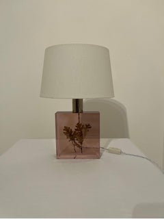 Pierre Giraudon Lucite Resin Inclusion Lamp - France c1970