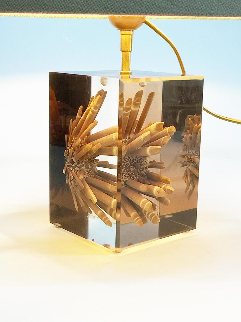 Table lamp by Pierre Giraudon resin cube with tropical urchin, 1970s In Good Condition For Sale In Delft, NL