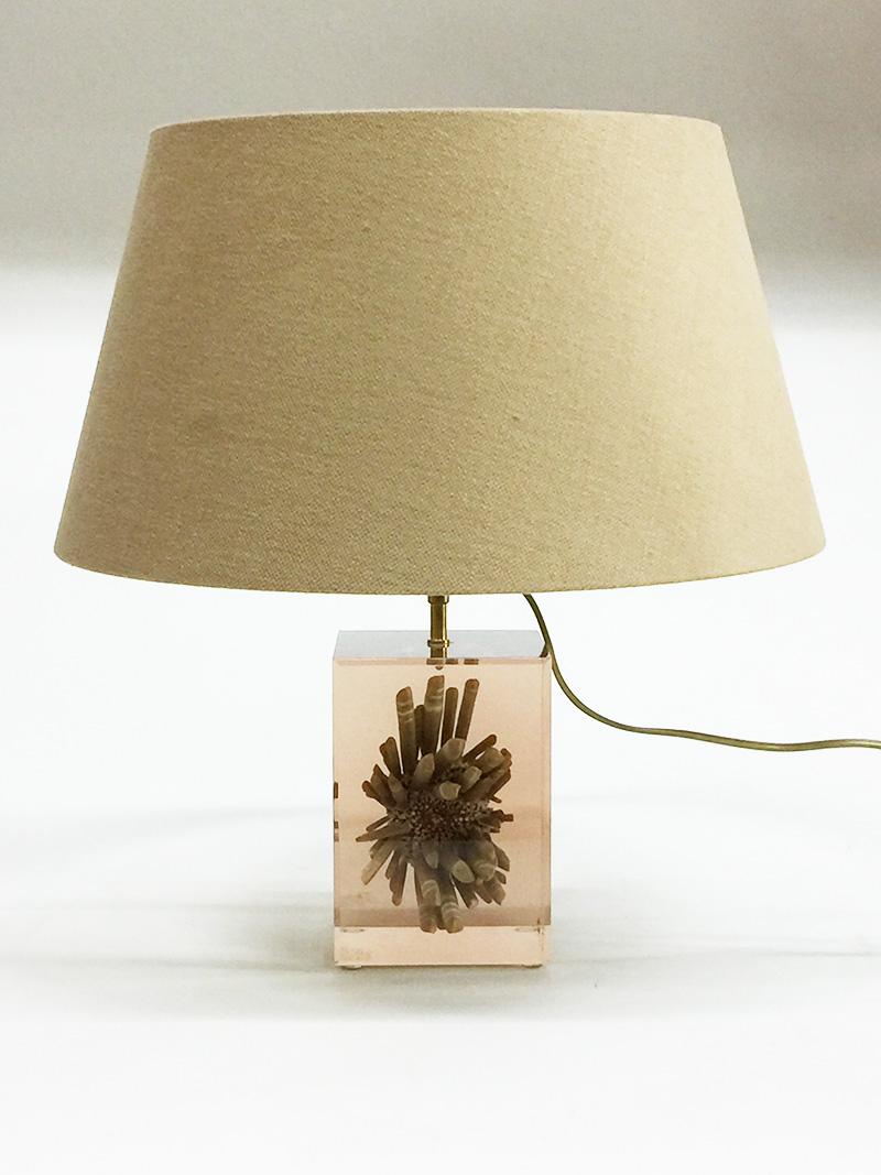 Table lamp by Pierre Giraudon resin cube with tropical urchin, 1970s For Sale 2