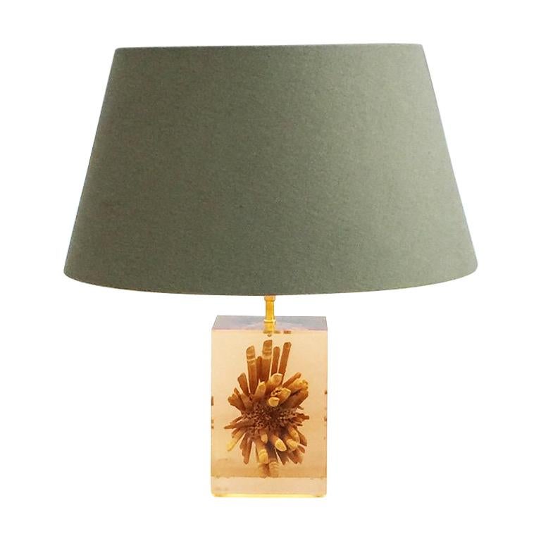 Urchin Lamps 7 For On 1stdibs, Urchin Ball Table Lamp