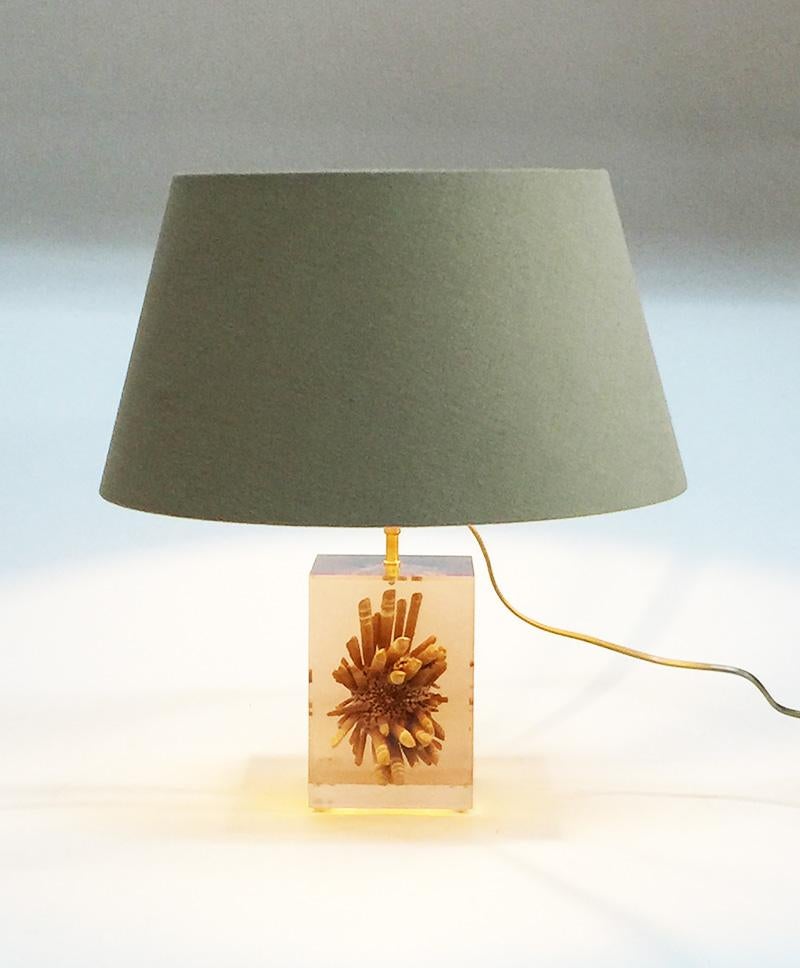 Table lamp by Pierre Giraudon resin cube with tropical urchin, 1970s

A square resin table lamp with an inclusion of a large tropical urchin with 