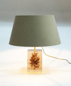 Table lamp by Pierre Giraudon resin cube with tropical urchin, 1970s