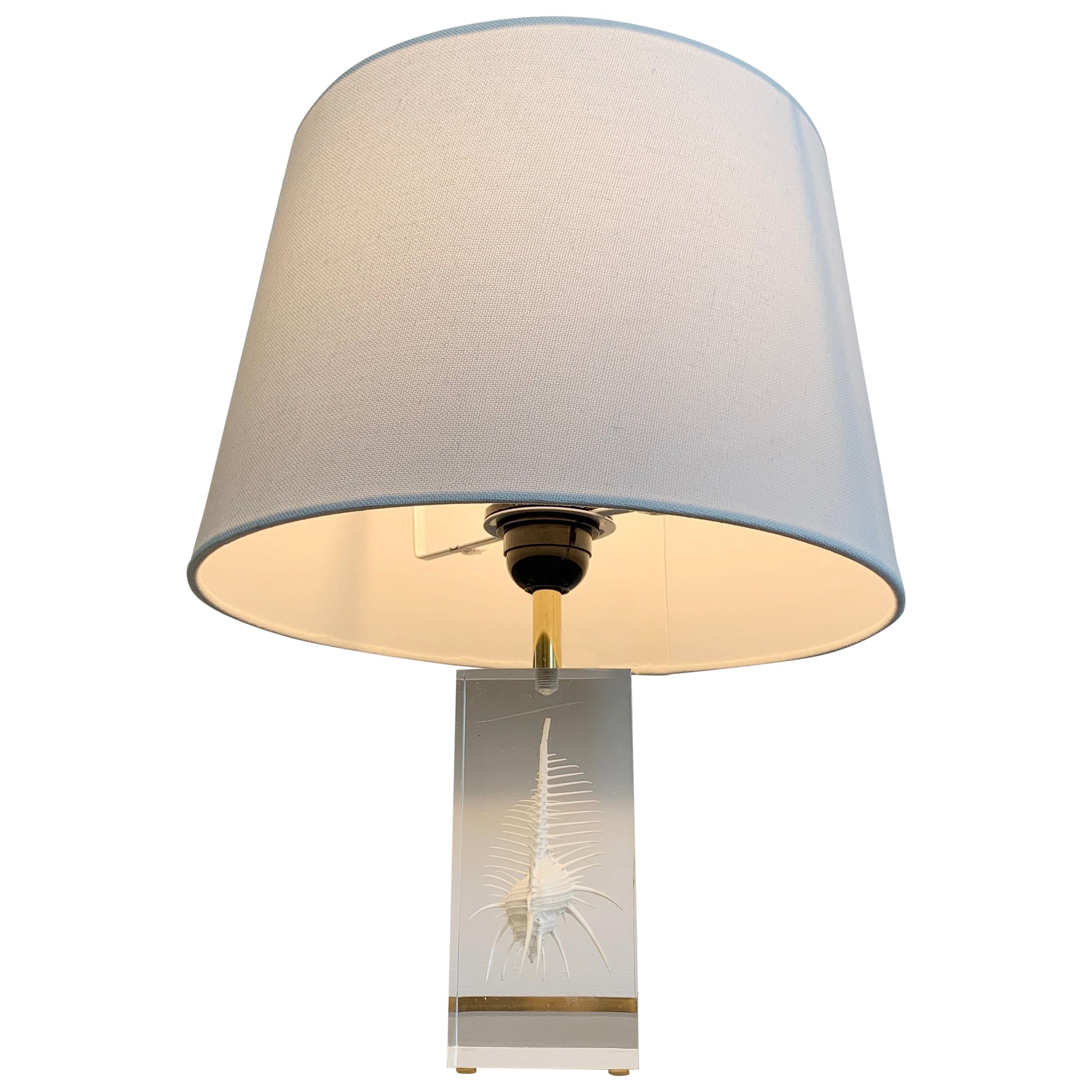 Pierre Giraudon Resin Suspension Shell Desk Lamp For Sale