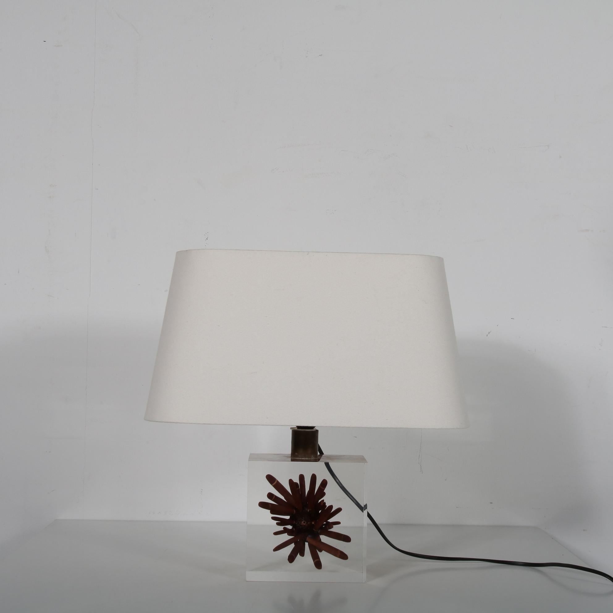 A luxurious table lamp by French designer Pierre Giraudon, manufactured in France around 1970.

The eye-catching feature of this piece is that it has a square clear resin base which holds a brown piece of coral. The cube is completely clear, which