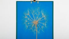 Pierre Giroudon Blue Lucite Lamp with Encapsulated Dandelion, circa 1970