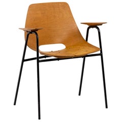 Vintage Pierre Guariche, Armchair in Plywood and Black Lacquered Metal, 1960's