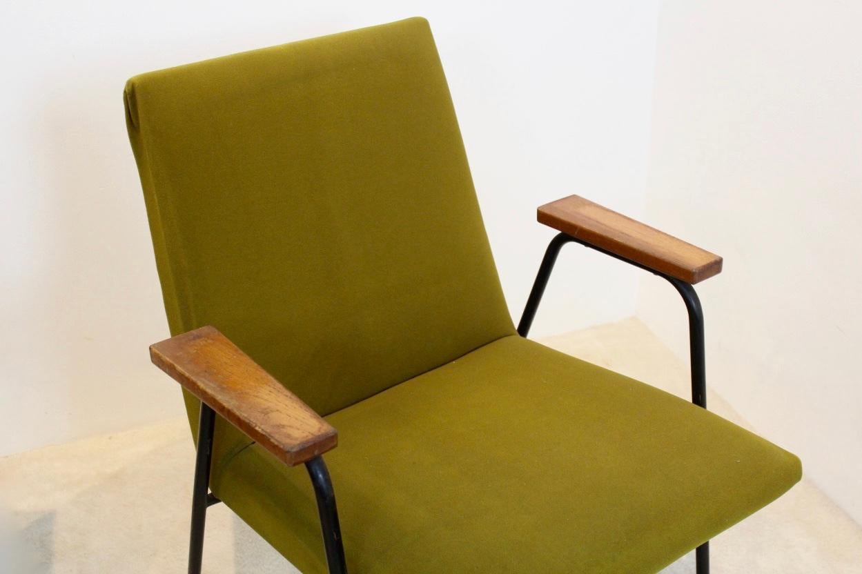 Pierre Guariche-Sessel von Meurop, 10 Stück (Moderne der Mitte des Jahrhunderts) im Angebot