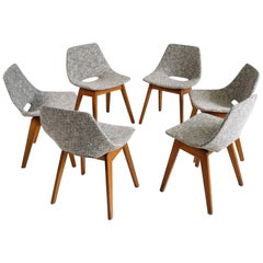 Pierre Guariche, Series of 6 Chairs Tonneau with Wooden Feet, France, 1950q